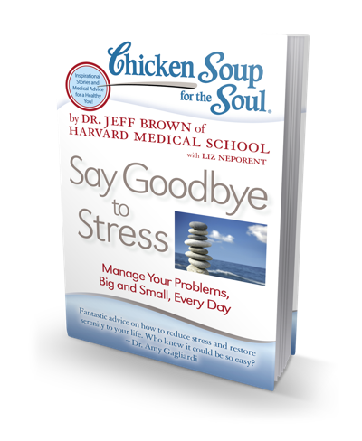 Chicken Soup for the Soul Say Goodbye to Stress