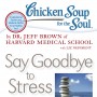 CSS Say Goodbye to Stress book cover